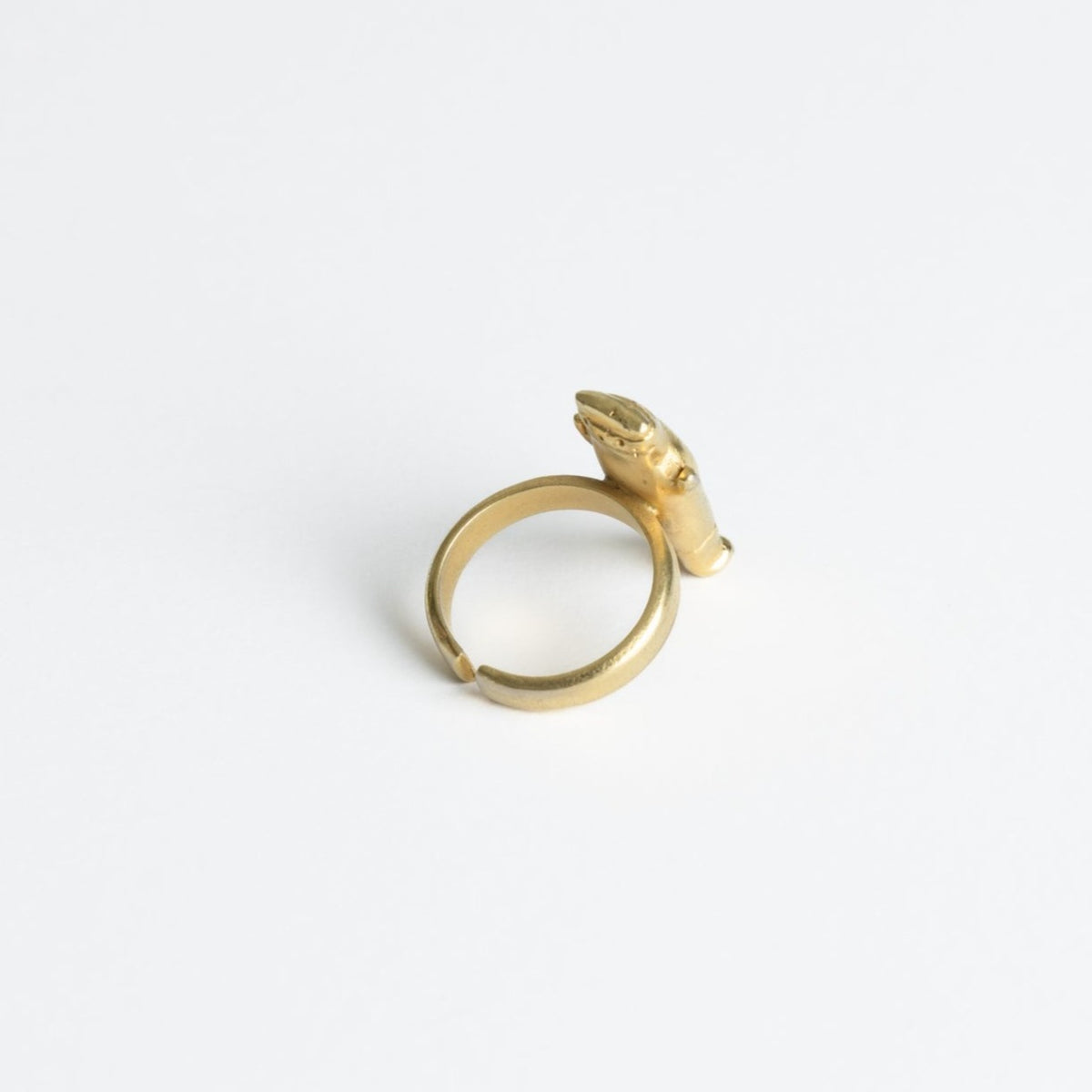 Anillo Cuchimilco