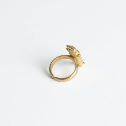 Anillo Cuchimilco