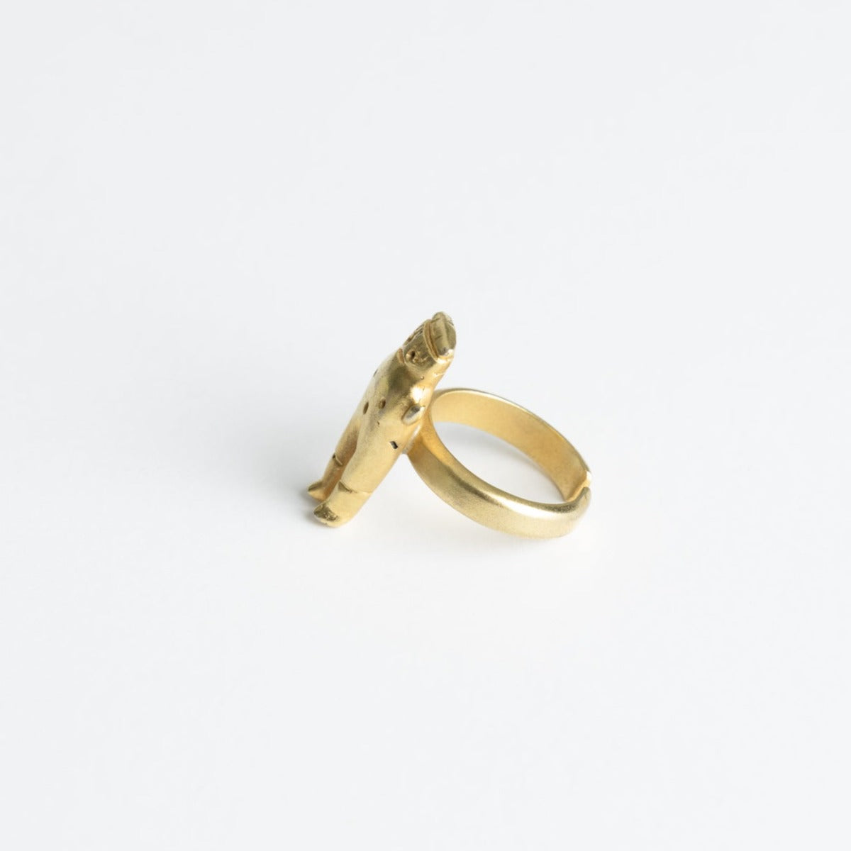 Anillo Cuchimilco