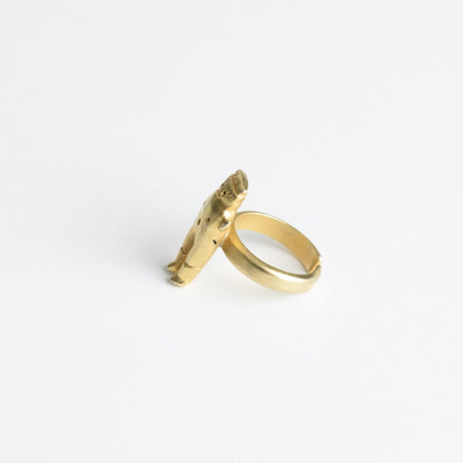 Anillo Cuchimilco